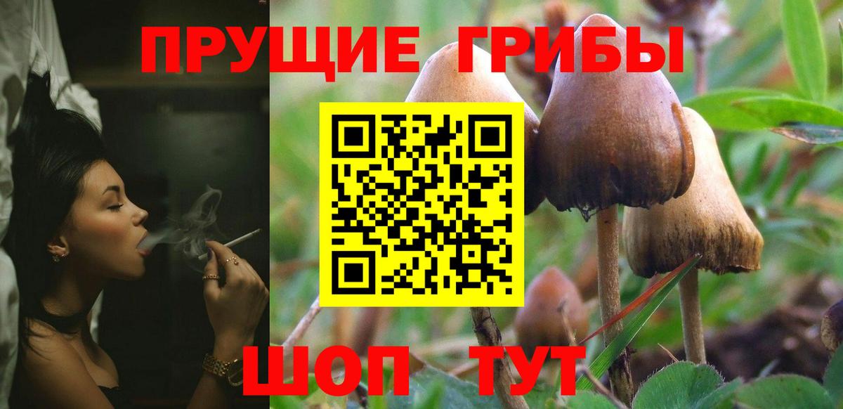 Галлюциногенные грибы MAGIC MUSHROOMS Глазов