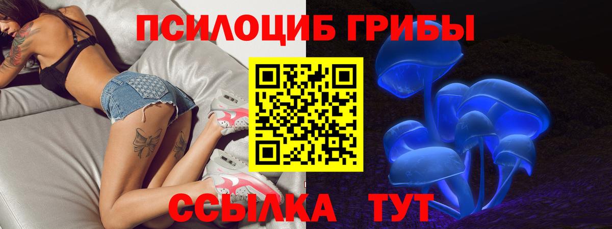 Псилоцибиновые грибы Psilocybe  Псилоцибиновые грибы Psilocybe  закладки  Вход с VPN  Глазов 